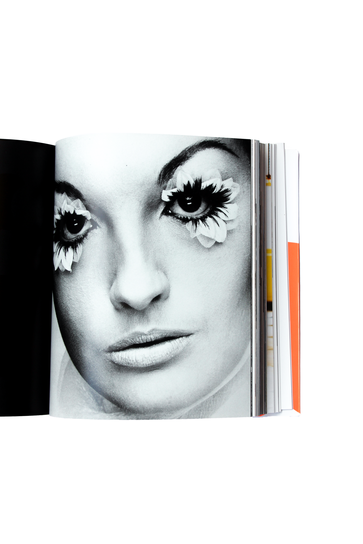 LIVRE FASHION TODAY